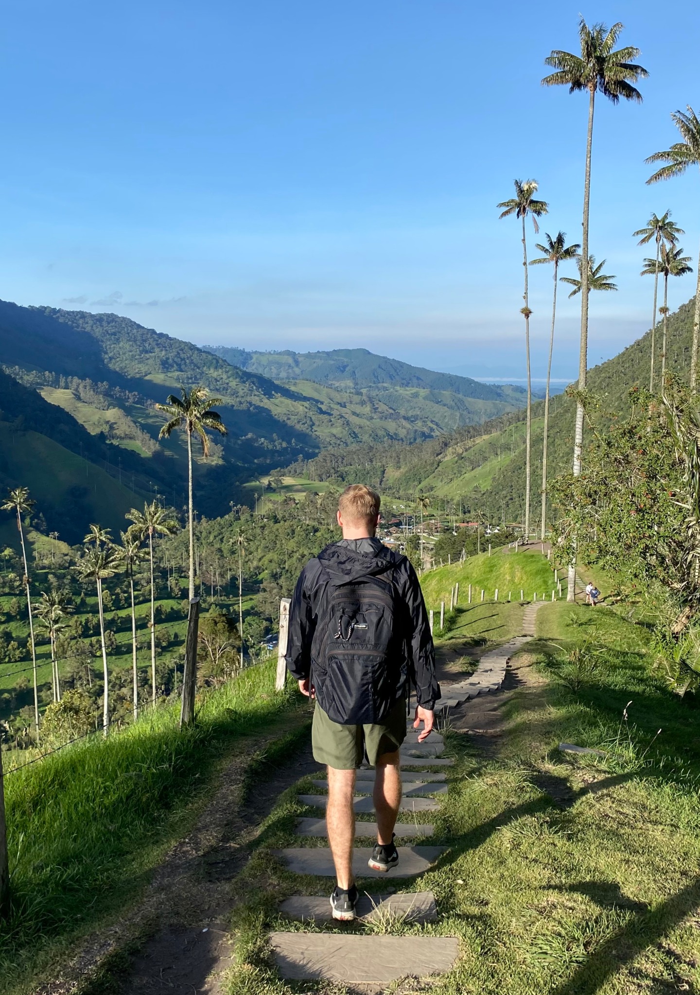 Matt hiking through a green valley with tall palm trees